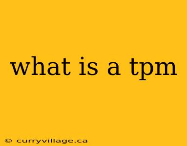 what is a tpm