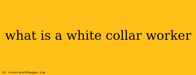 what is a white collar worker