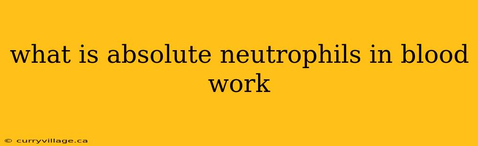 what is absolute neutrophils in blood work
