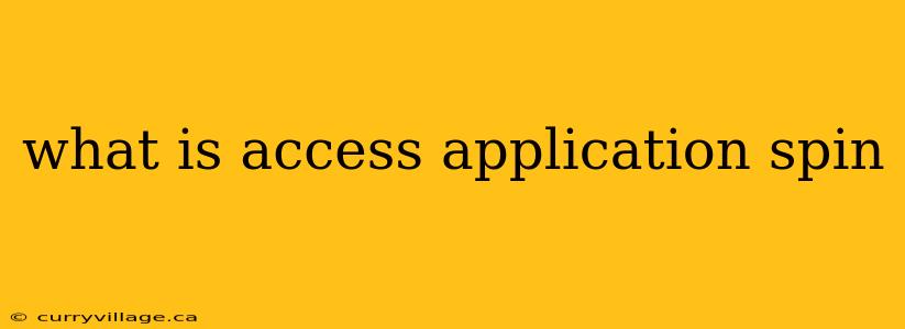 what is access application spin