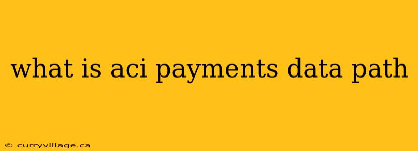 what is aci payments data path