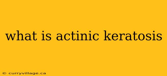 what is actinic keratosis