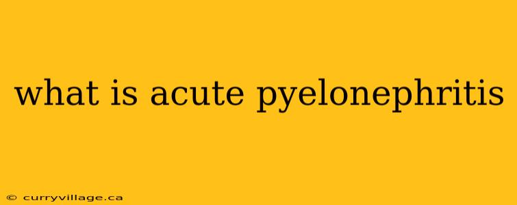 what is acute pyelonephritis