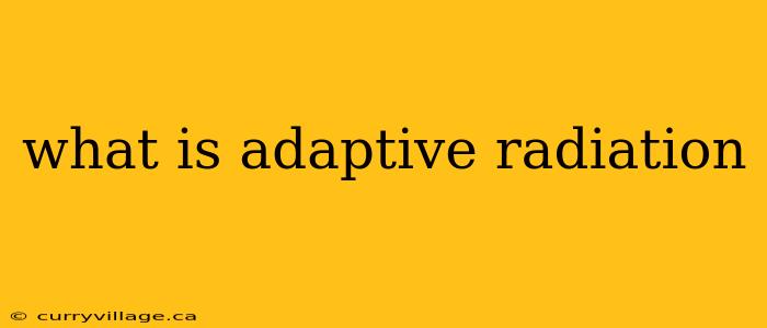 what is adaptive radiation