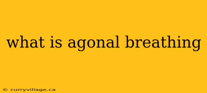what is agonal breathing
