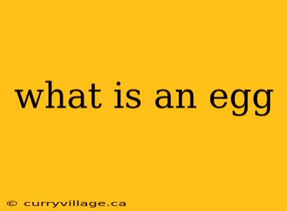 what is an egg