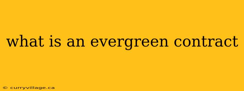 what is an evergreen contract