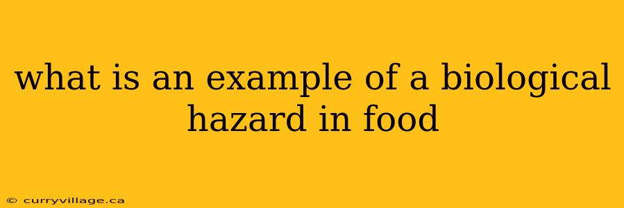 what is an example of a biological hazard in food
