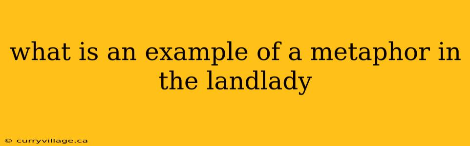 what is an example of a metaphor in the landlady