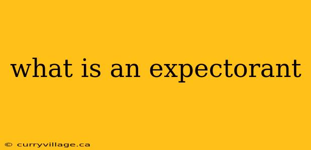 what is an expectorant