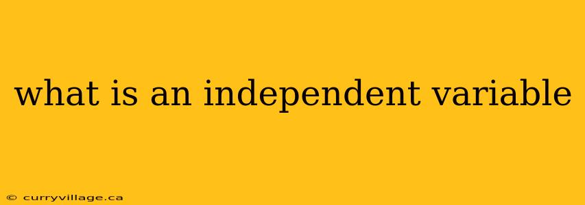 what is an independent variable