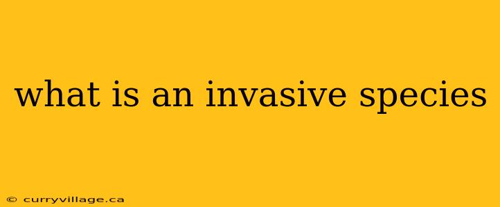 what is an invasive species