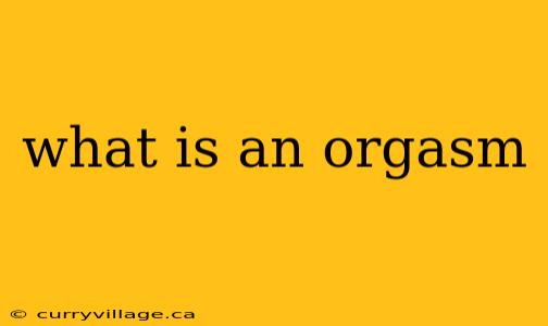 what is an orgasm