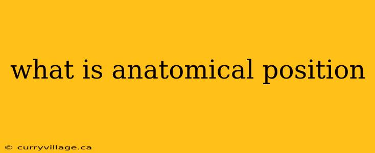 what is anatomical position