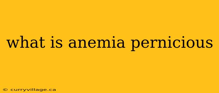 what is anemia pernicious