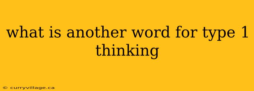 what is another word for type 1 thinking