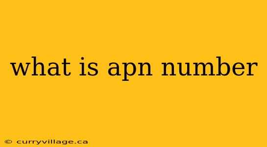 what is apn number