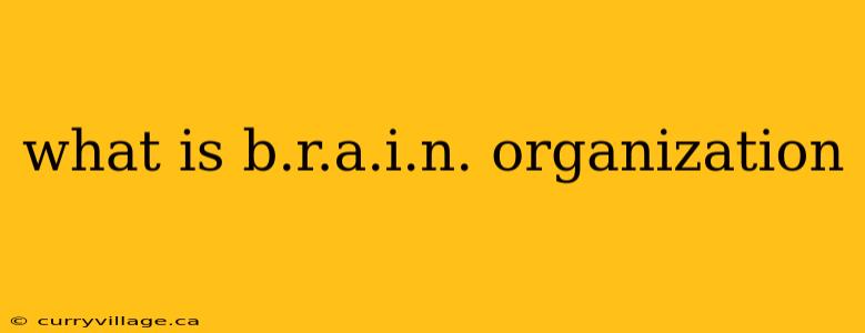 what is b.r.a.i.n. organization