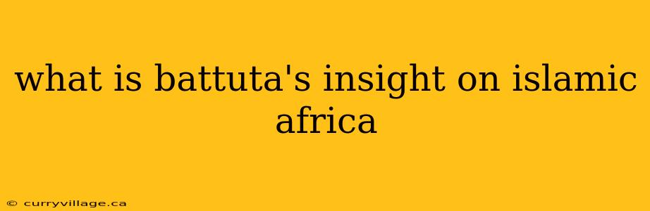 what is battuta's insight on islamic africa