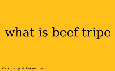 what is beef tripe