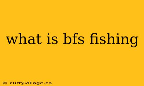 what is bfs fishing