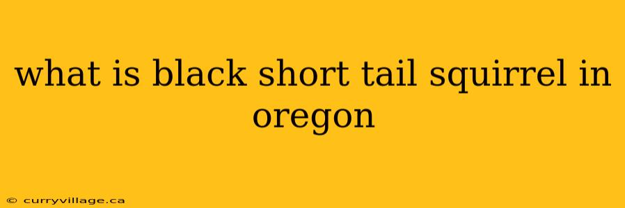 what is black short tail squirrel in oregon