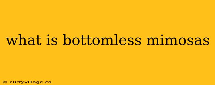 what is bottomless mimosas