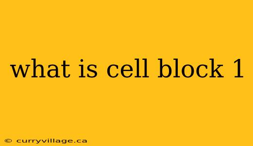 what is cell block 1