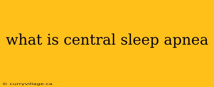 what is central sleep apnea