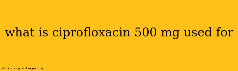 what is ciprofloxacin 500 mg used for