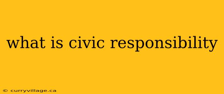 what is civic responsibility
