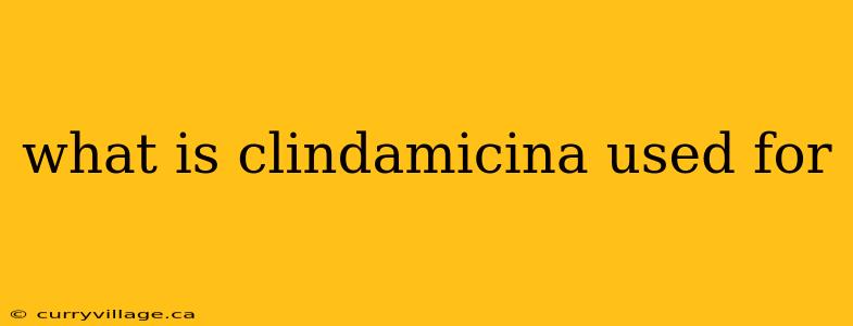 what is clindamicina used for
