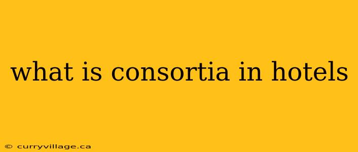 what is consortia in hotels