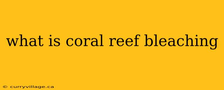 what is coral reef bleaching