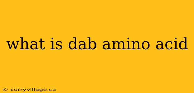 what is dab amino acid