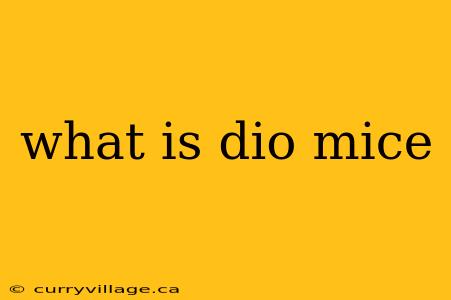 what is dio mice