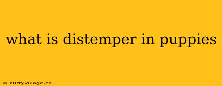 what is distemper in puppies