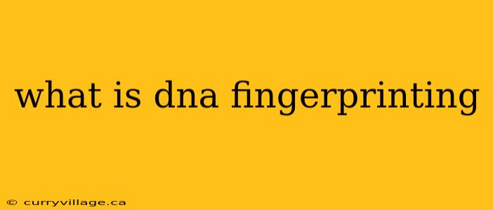 what is dna fingerprinting