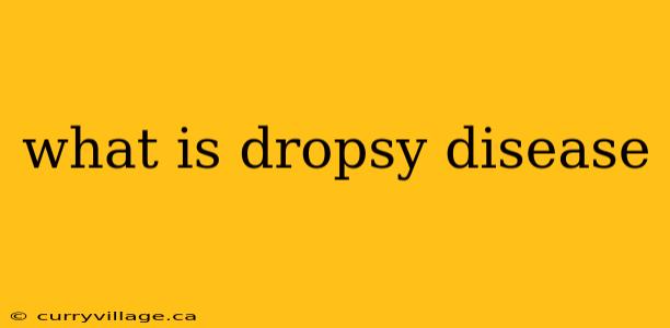 what is dropsy disease