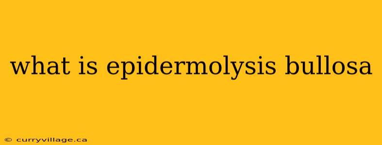 what is epidermolysis bullosa