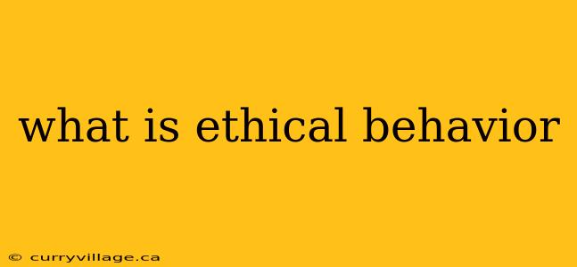 what is ethical behavior