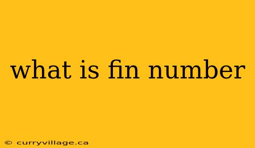 what is fin number