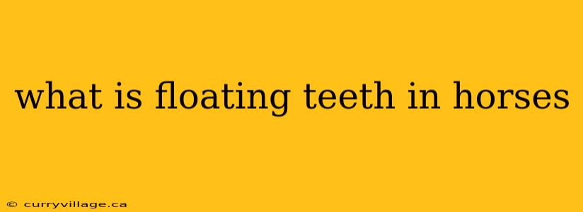 what is floating teeth in horses