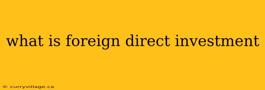 what is foreign direct investment