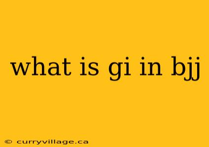 what is gi in bjj