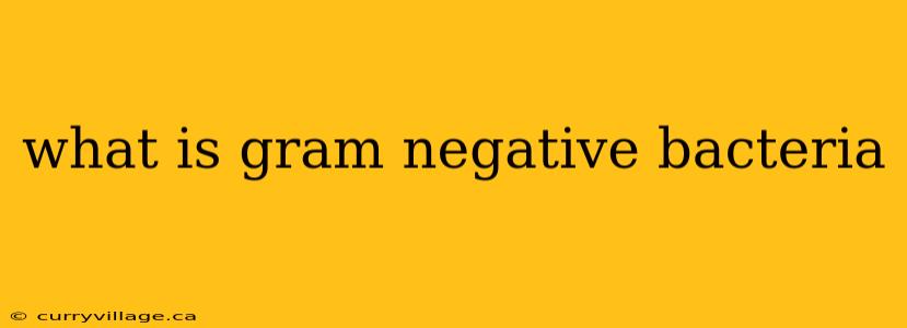 what is gram negative bacteria
