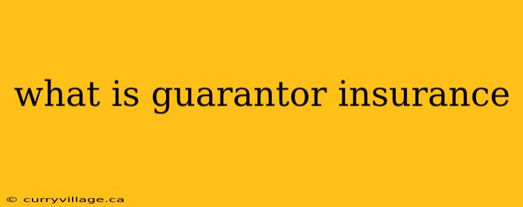 what is guarantor insurance