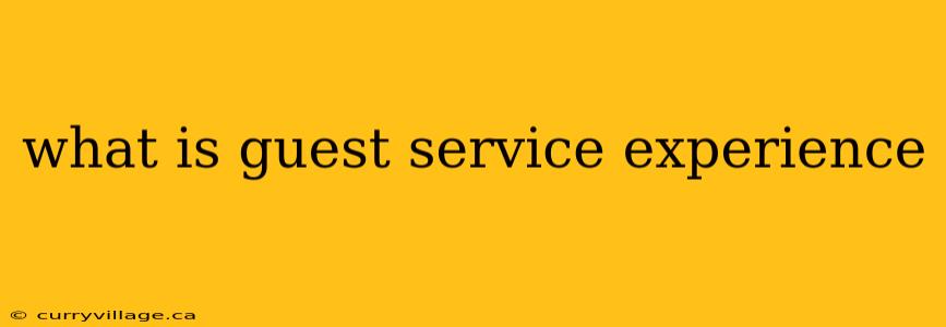 what is guest service experience