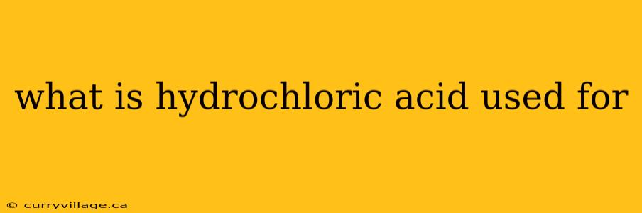 what is hydrochloric acid used for