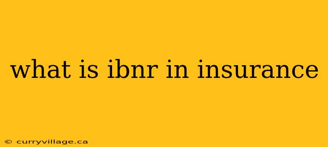 what is ibnr in insurance